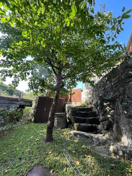 Casa Da Tintim Em Baiao Βίλα Εξωτερικό φωτογραφία