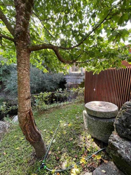 Casa Da Tintim Em Baiao Βίλα Εξωτερικό φωτογραφία