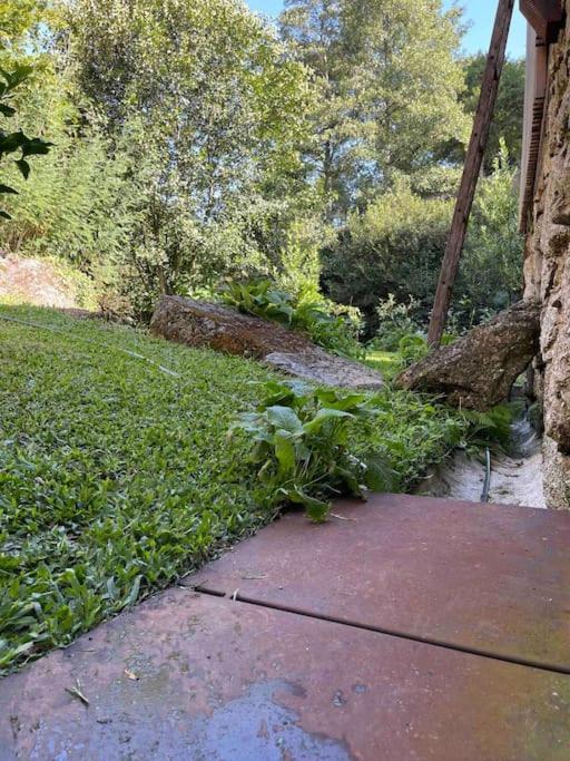 Casa Da Tintim Em Baiao Βίλα Εξωτερικό φωτογραφία