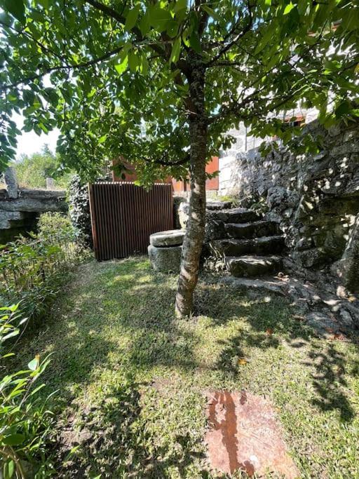 Casa Da Tintim Em Baiao Βίλα Εξωτερικό φωτογραφία