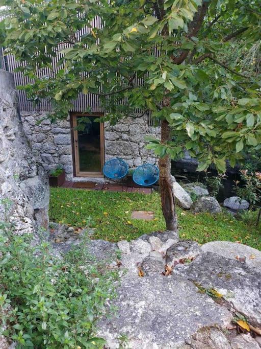 Casa Da Tintim Em Baiao Βίλα Εξωτερικό φωτογραφία